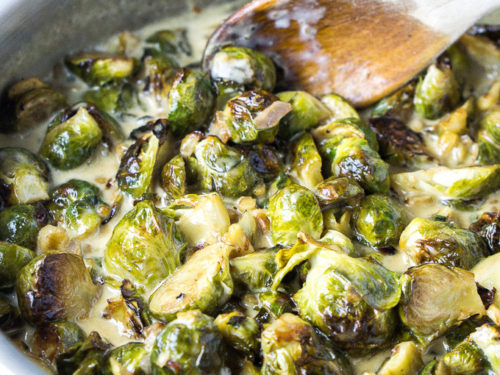 https://www.fourtocookfor.com/wp-content/uploads/2015/10/Roasted-Brussel-Sprouts-in-Gorgonzola-Sauce-3-500x375.jpg