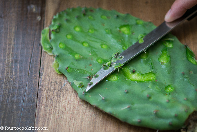 Grilled Nopales (Cactus Leaves) Recipe